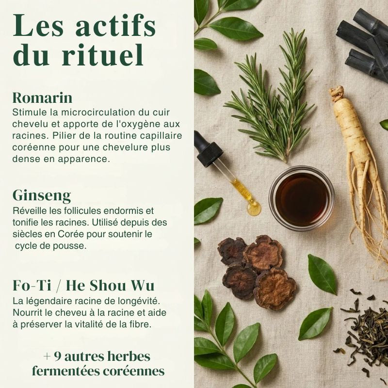 2 Savon Coréen Cuir Chevelu